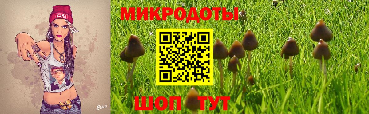 Великий Устюг  Галлюциногенные грибы мицелий  Вход с VPN  Галлюциногенные грибы Psilocybe 
