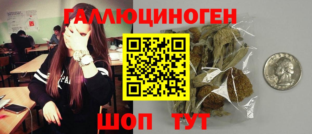 Галлюциногенные грибы Psilocybe Великий Устюг