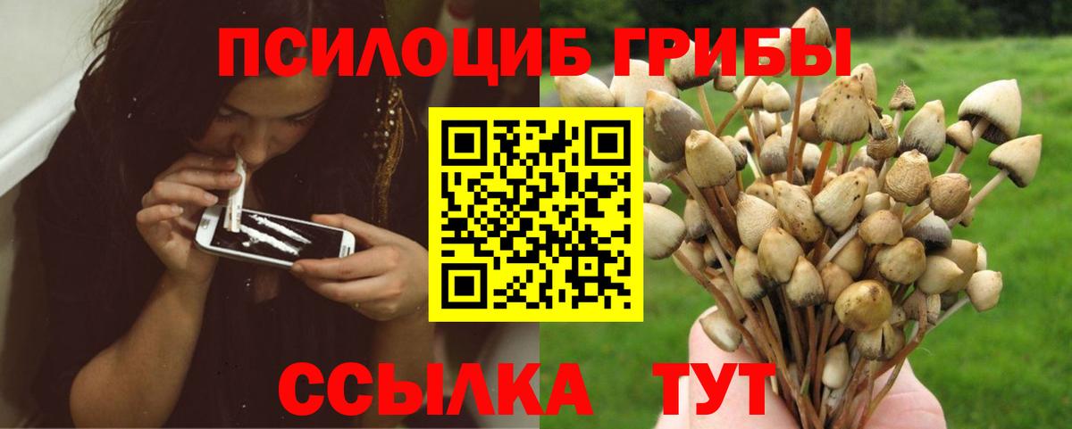 Галлюциногенные грибы Magic Shrooms Великий Устюг