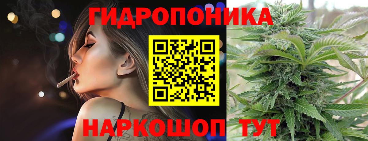 Конопля планчик Великий Устюг